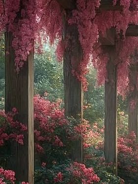 Romantischer Gartenweg unter einer Holzpergola mit rosa Glyzinien, sanftes Licht und ruhige, naturverbundene Bildstimmung.