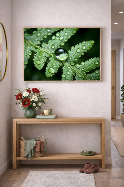 Grünes Farnblatt als digitales Wandbild, aufgenommen in klarer Nahaufnahme mit vielen Wassertropfen, großem Tropfen in der Mitte und ruhigem dunklen Hintergrund.